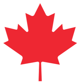 Red maple leaf